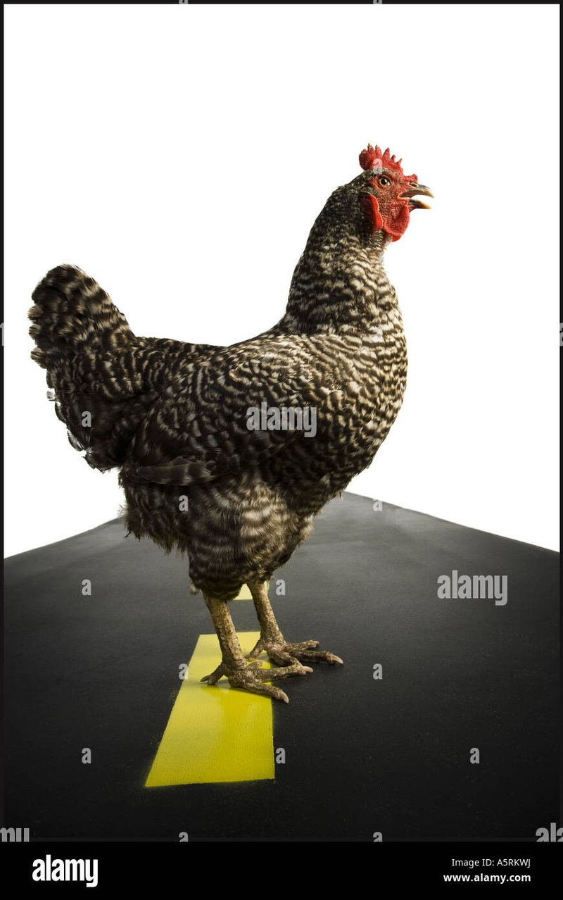 Jogo chicken road - Descubra Aventuras e Prêmios Na Rota Do Frango No Casino Português Jogo chicken road - Descubra Aventuras e Prêmios Na Rota Do Frango No Casino Português